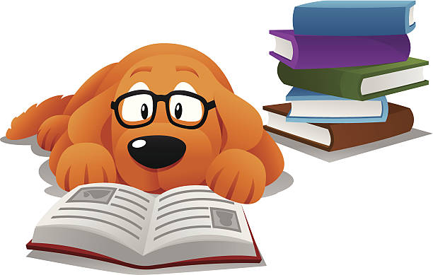 dog with books