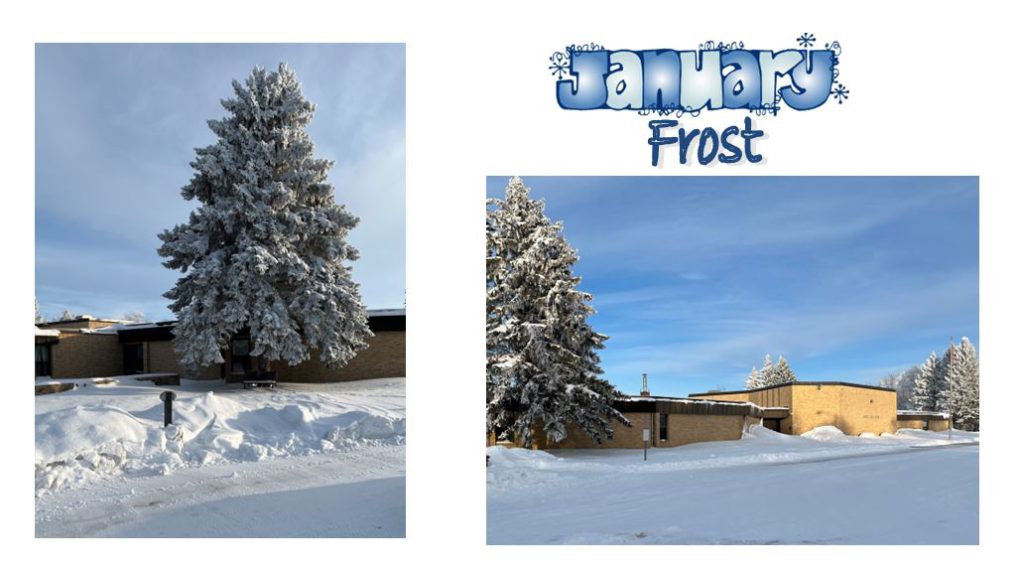 January frost school pictures